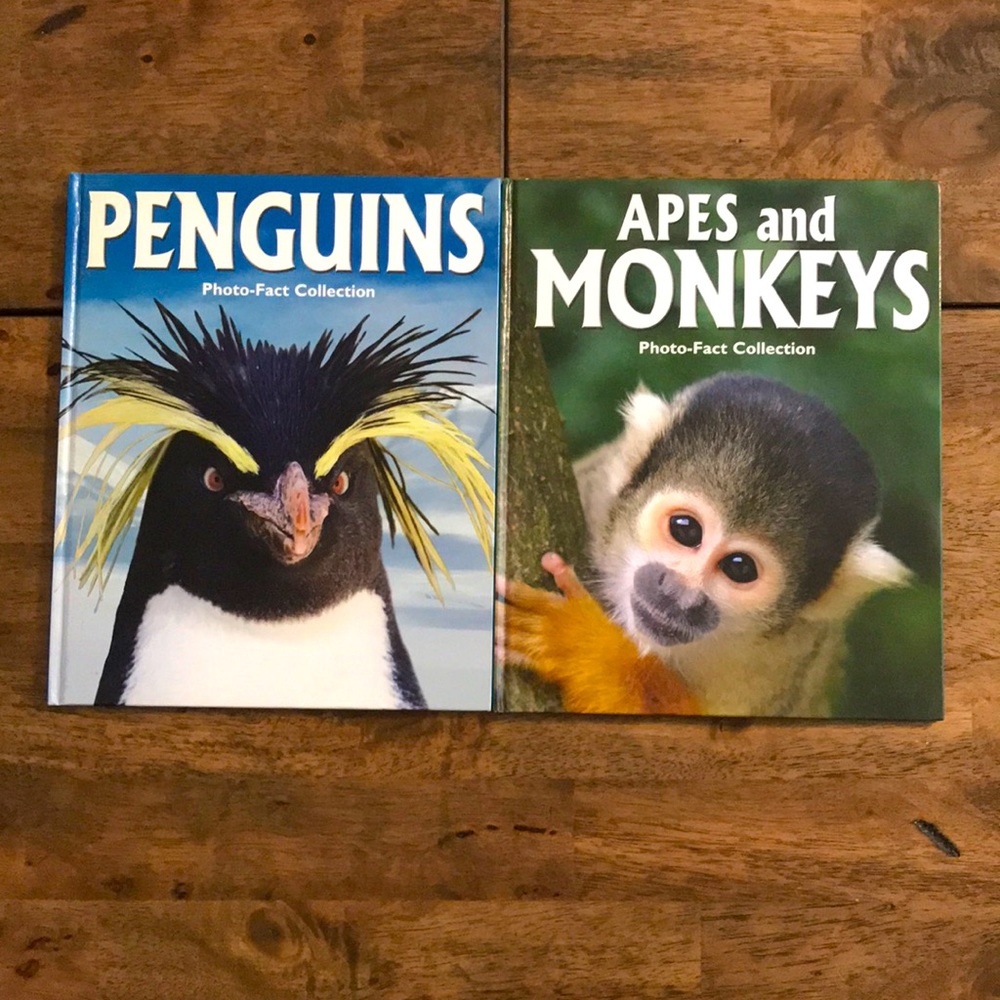 Animal Books for Kids